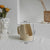 Simplicity Ceramic Vase Dry Flower Arrangement Home Decoration Ornament Living Room Display Art Vases null