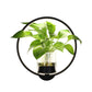 Decorative wall lamp on background wall null
