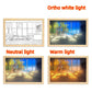 Illuminated Picture LED Decorative Light Painting Bedside Picture Style Creative Modern Simulate Sunshine Drawing Night Light Gift null