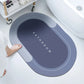 Bathroom Absorbent And Quick-drying Floor Mat null